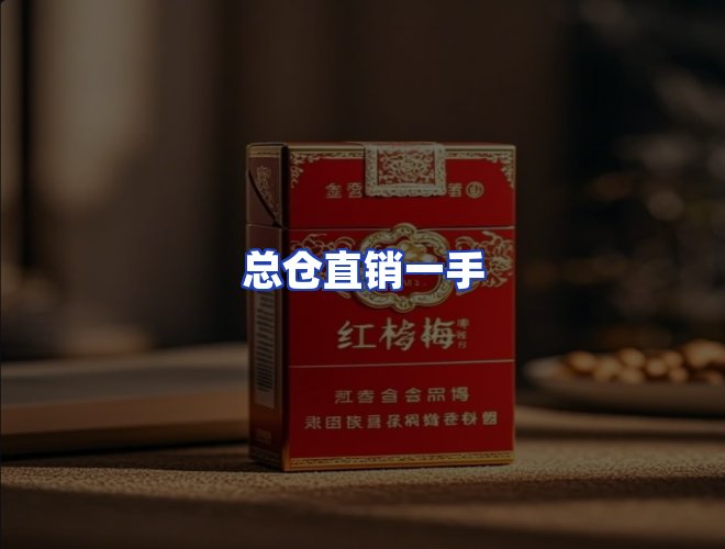 专业团队